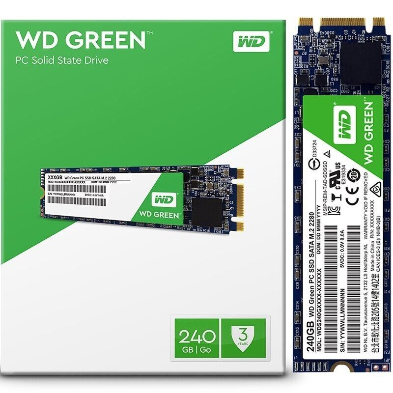 wd wester 240